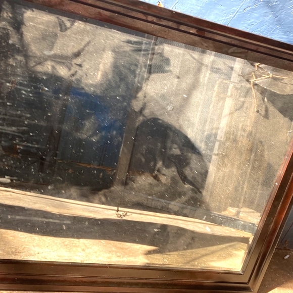 Huge mirror dark brown